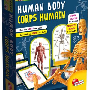 IM Genius Human Body – Fun & Educational Science Kit