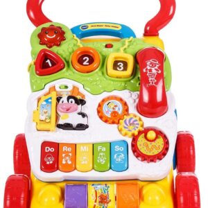 First Step Baby Walker