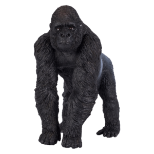 Gorilla Male Silverback