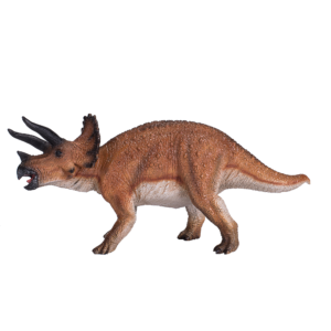 Triceratops