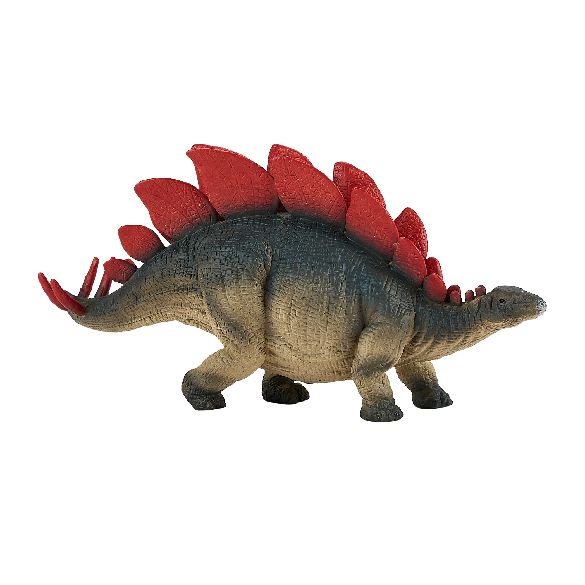 381088_Stegosaurus_4.png