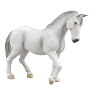 Lipizzaner Mare