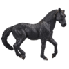 387109_Andalusian_Stallion_Black_1.png