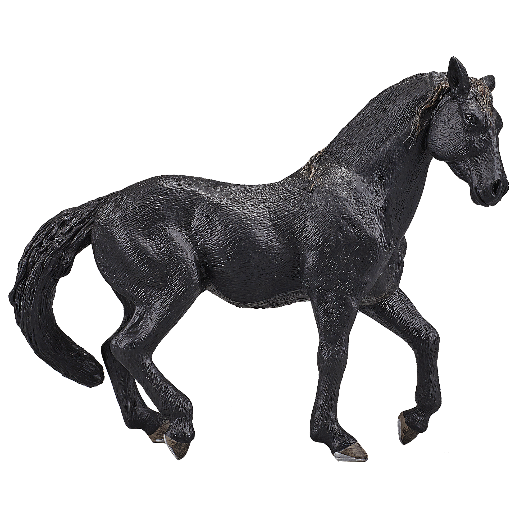 387109_Andalusian_Stallion_Black_1.png