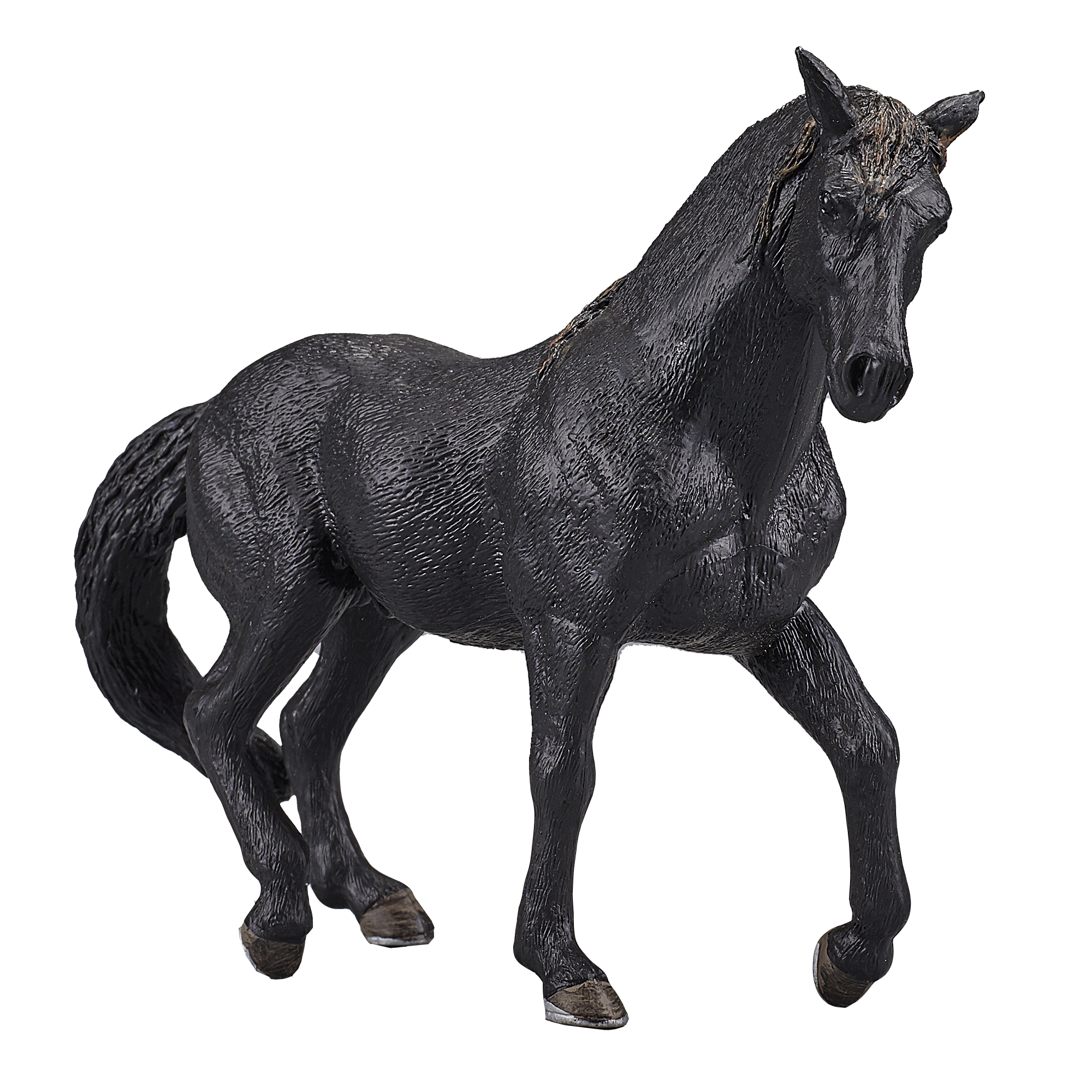 387109_Andalusian_Stallion_Black_2.png
