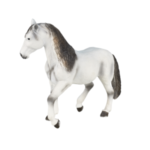 Andalusian Stallion Grey