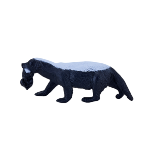 Honey Badger female with cub