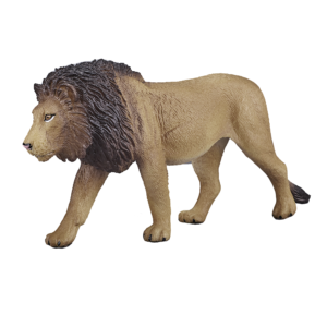 Male Lion