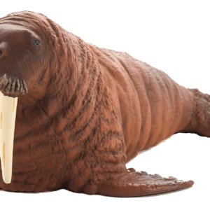 Walrus (Portugal)