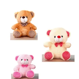 TEDDY BEAR ASSORTED - 40CM (  colour may vary)