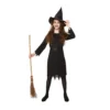 Witch Sorceress Costume